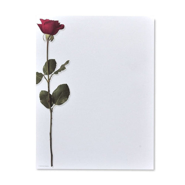 12 Packs: 36 ct. (432 total) Pink & Red Paper Roses by Recollections™